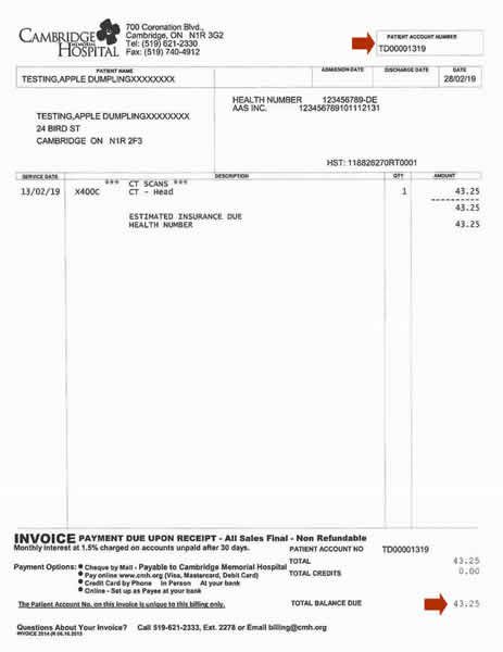 sample-patient-invoice-resized-cmhwebsite